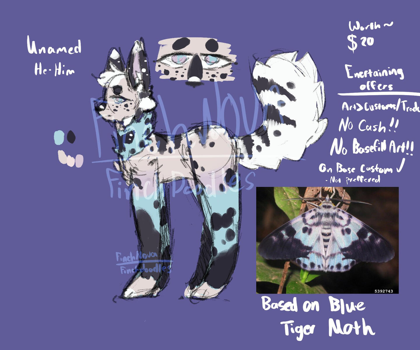 Courtesy of @FinchN0va